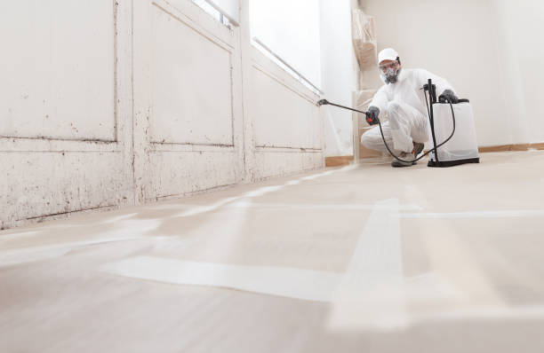 24/7 Emergency Mold Testing experts in Jackson, NC