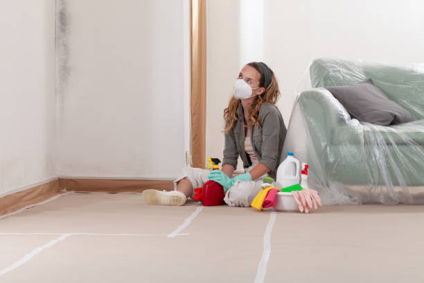 Reliable Mold Testing contractor in Jackson, NC by WQB Mold Removal