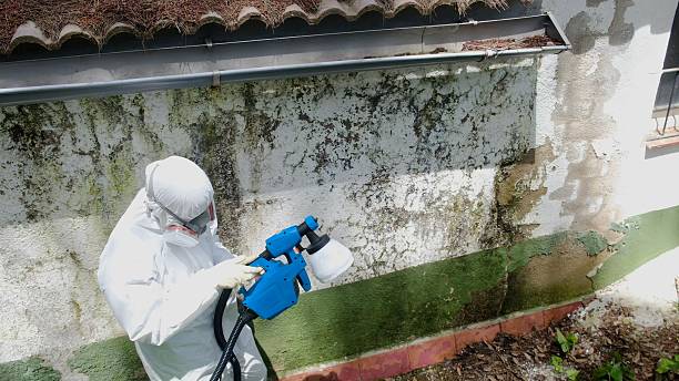 Top rated local Mold Testing specialists in Jackson, NC